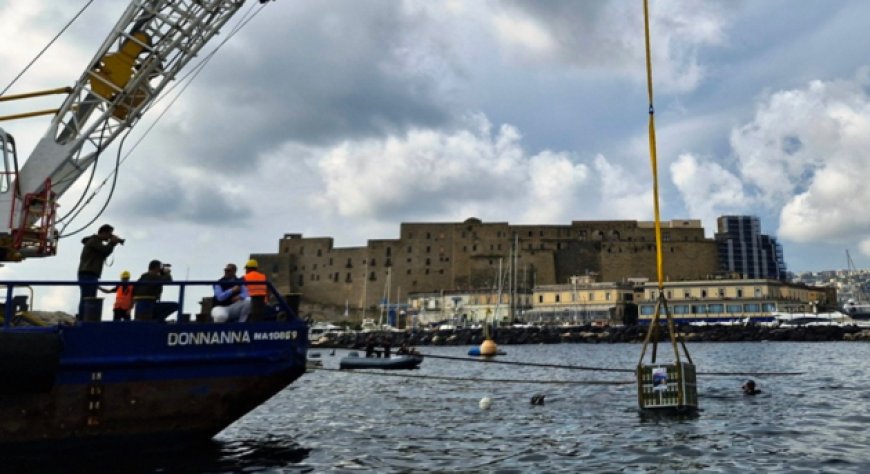 Distilleria Petrone: le bottiglie di limoncello affinato in mare tornano in superficie