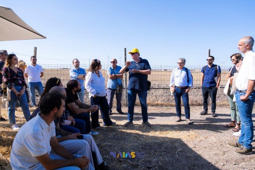 In Puglia il Convivio Agrivoltaico celebra il legame tra viticoltura e fotovoltaico