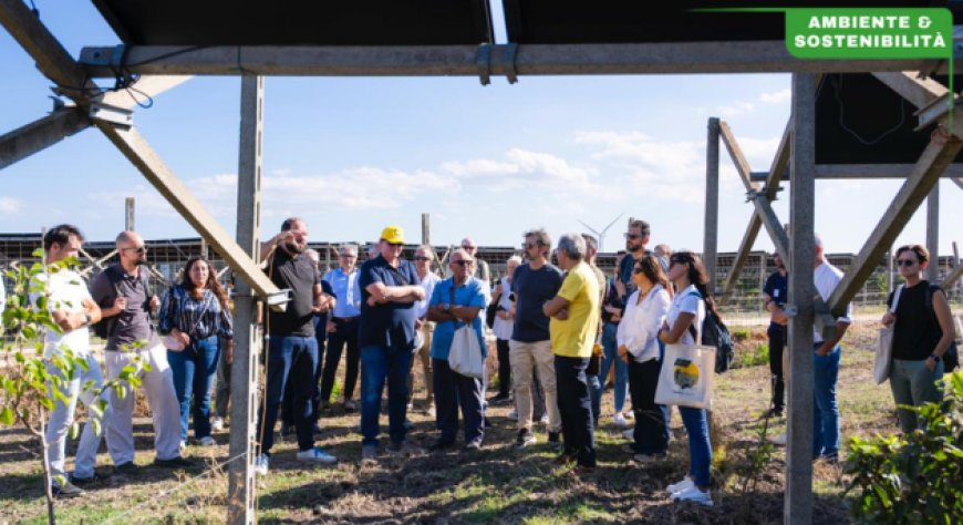 In Puglia il Convivio Agrivoltaico celebra il legame tra viticoltura e fotovoltaico