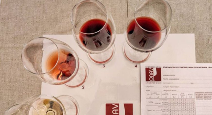 Master IULM, la partnership con ONAV per formare i comunicatori del vino