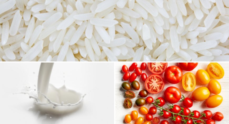 Crollano i prezzi di riso, latte e pomodoro: il punto sui mercati agrifood
