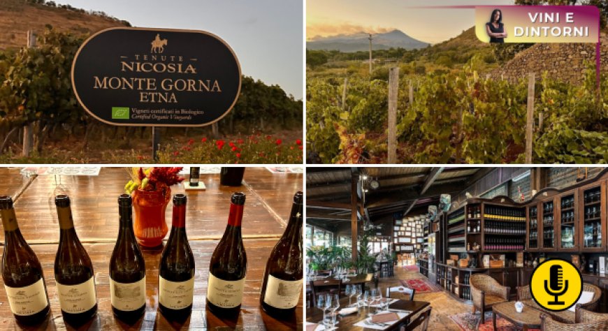 Cinque generazioni di Etna nel calice: la storia di Cantine Nicosia 