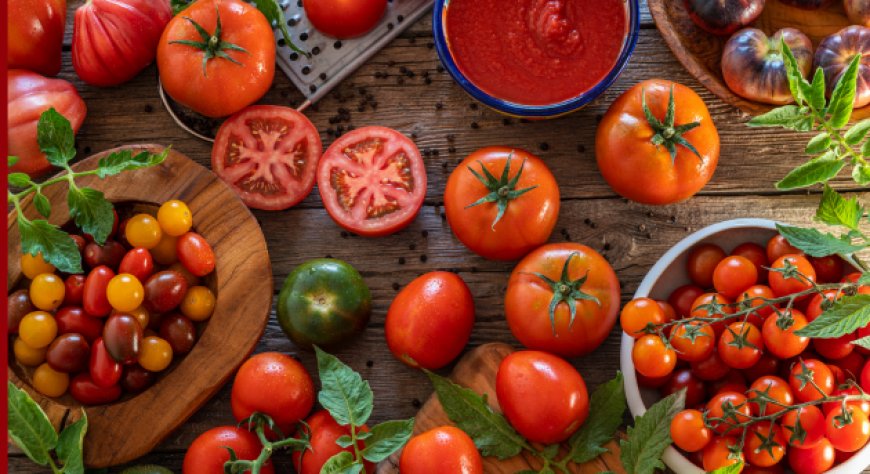 Pomodoro: l'Italia riconquista il secondo posto mondiale davanti alla Cina