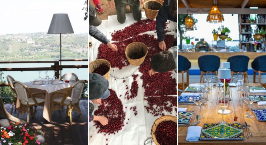 Dal chicco alla tazza: l'esperienza del terroir arriva nei Campi Flegrei