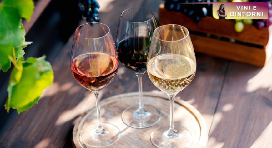 Avvertenze sanitarie in etichetta per gli alcolici: il Canada accelera, l’Europa teme l’effetto domino