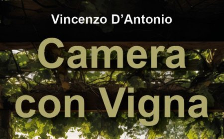 Dormire tra i filari: 'Camera con Vigna' racconta il nuovo enoturismo conviviale