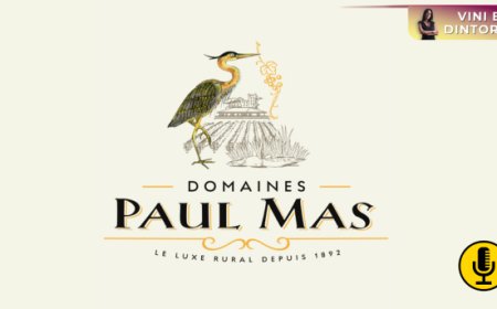 Paul Mas: il nuovo volto del Languedoc tra memoria, visione e vini democratici