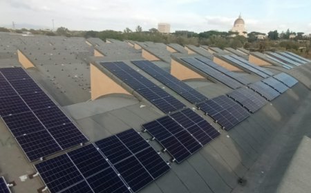 Transizione green per Doreca: in arrivo quattro impianti fotovoltaici