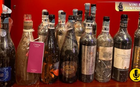 Underwater wines: otto vini per raccontare la frontiera dell’affinamento subacqueo