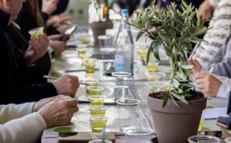 Evoluzione 2026: Roma ospita l'ottava edizione dell'evento dedicato all'olio extravergine di qualità