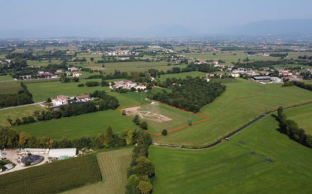 Sanpellegrino: 1.400 nuovi alberi per un nuovo bosco a Carmignano di Brenta