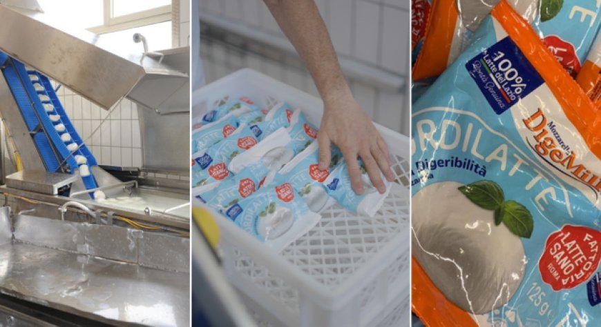 Fattoria Latte Sano: a Rieti la filiera integrata per i latticini del Lazio