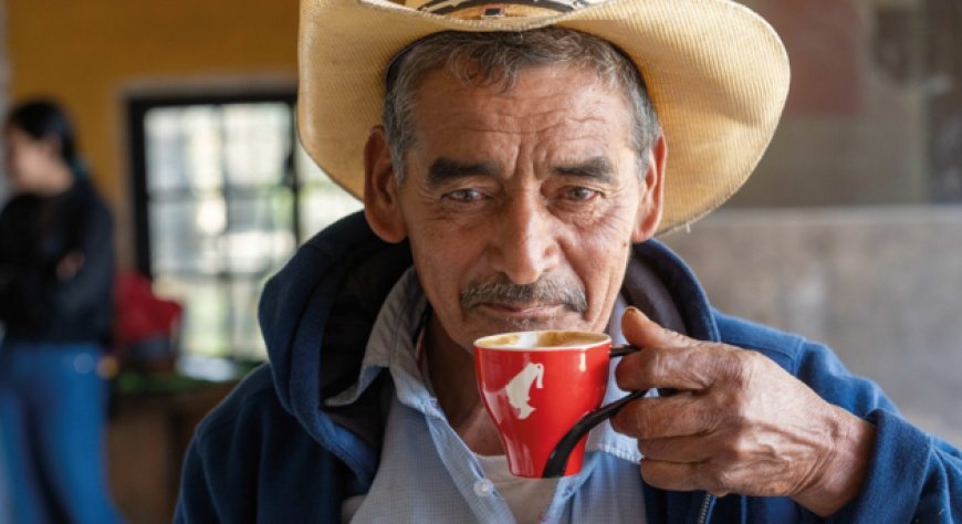 Caffè sostenibile per le generazioni future: Julius Meinl porta il Generations Programme in Honduras