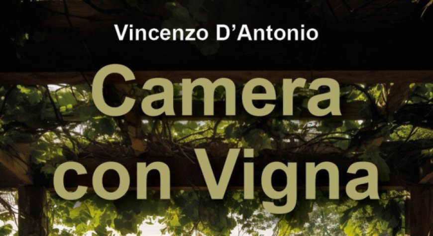 Dormire tra i filari: 'Camera con Vigna' racconta il nuovo enoturismo conviviale