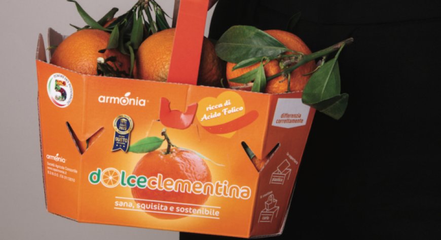 Arriva Perrina, l'unica clementina tardiva italiana che matura tra dicembre e gennaio