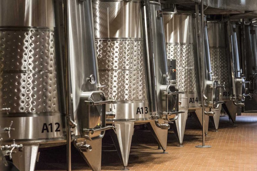 Tecnica e precisione in cantina