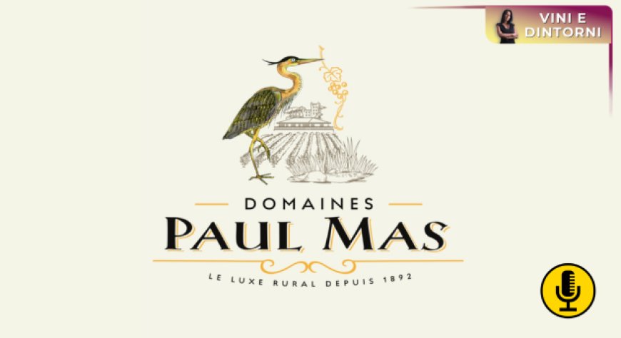 Paul Mas: il nuovo volto del Languedoc tra memoria, visione e vini democratici