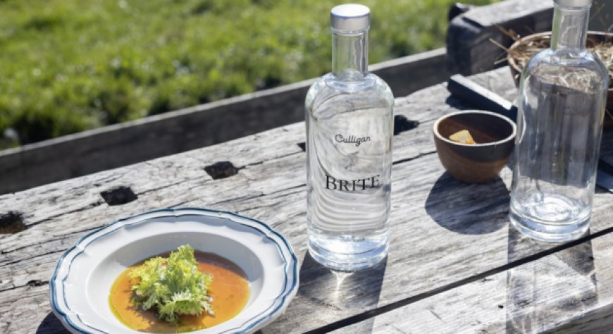 Culligan ed El Brite de Larieto: partnership per una ristorazione sostenibile a partire dall'acqua