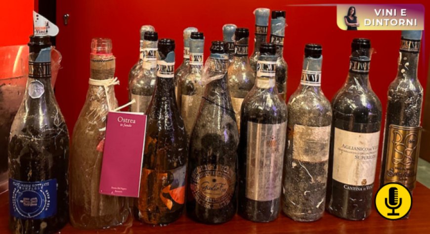 Underwater wines: otto vini per raccontare la frontiera dell’affinamento subacqueo