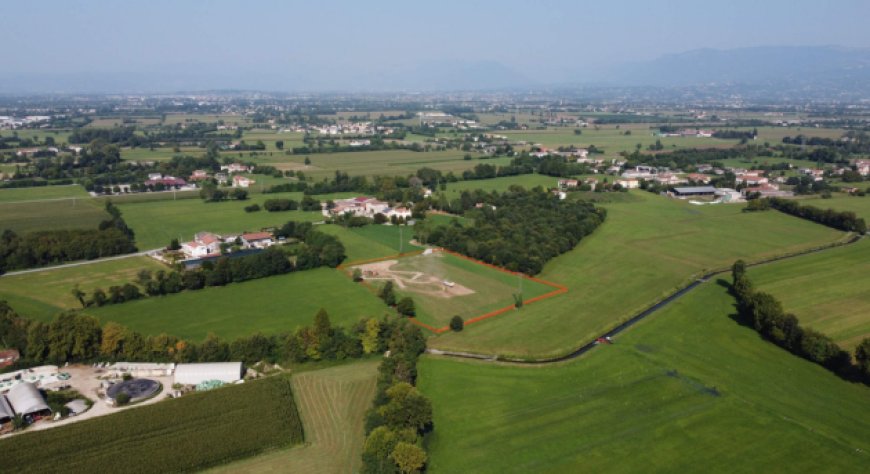 Sanpellegrino: 1.400 nuovi alberi per un nuovo bosco a Carmignano di Brenta