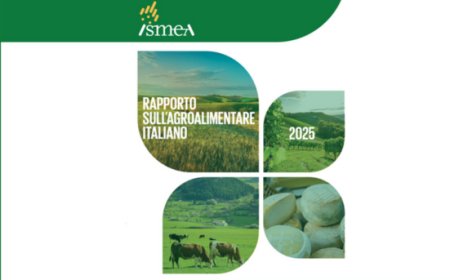 Italia leader agroalimentare in Europa: 15% del PIL e 70 miliardi di export