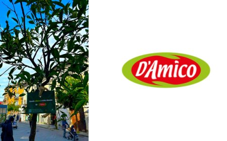 D’Amico partecipa alla Festa dell’Albero e rinnova il suo impegno per l’ambiente