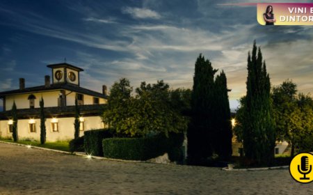 Il gesto, la terra, i legami: Vigna Madre e la Famiglia di Carlo nel racconto dei loro vini