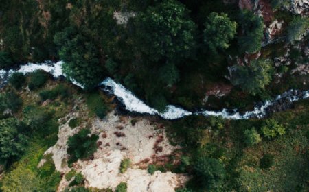 Sanpellegrino restituisce vita a 51 ettari di foresta in Valtellina