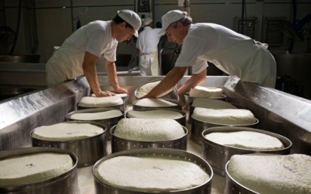 Asiago DOP di Latterie Vicentine certificato Made Green in Italy con il massimo livello