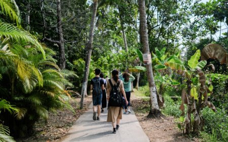 Svolta green per le vacanze di Natale: 3 viaggiatori su 4 in cerca di sostenibilità