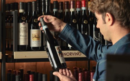 Vino e salute: Signorvino rilancia il dibattito con uno studio scientifico