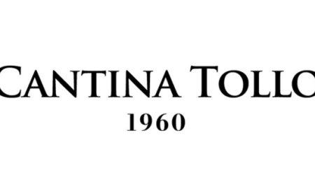 Cantina Tollo accelera: fatturato oltre 41 milioni e remunerazione soci in crescita