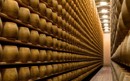 Primo caseificio Grana Padano Dop a usare il logo Made Green in Italy