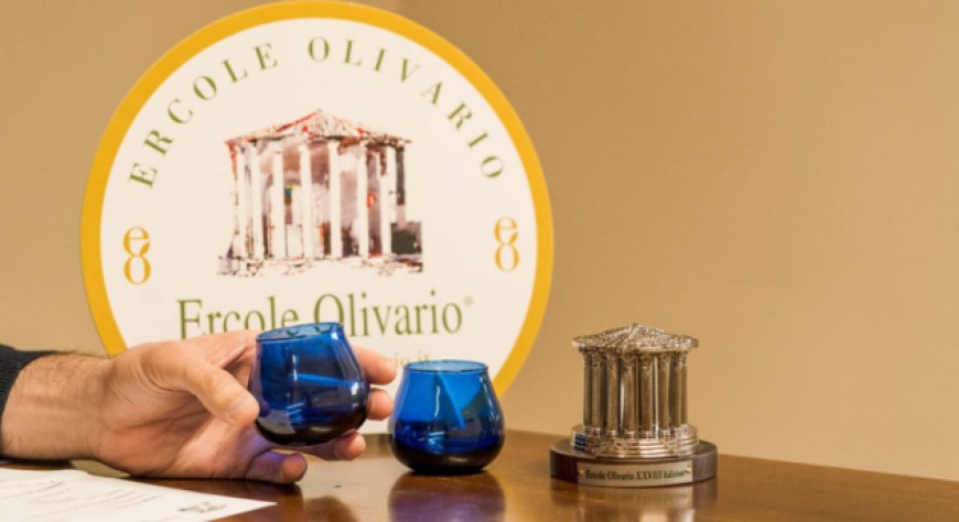 L'Oscar dell'Olio cerca le eccellenze italiane: al via Ercole Olivario 2026
