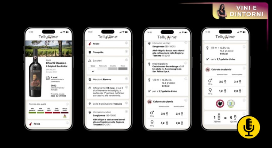 Telly Wine e la sfida del vino italiano: tecnologia, conoscenza e un sistema da ricucire