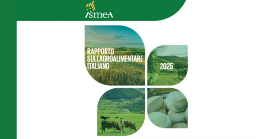 Italia leader agroalimentare in Europa: 15% del PIL e 70 miliardi di export