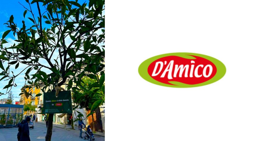 D’Amico partecipa alla Festa dell’Albero e rinnova il suo impegno per l’ambiente