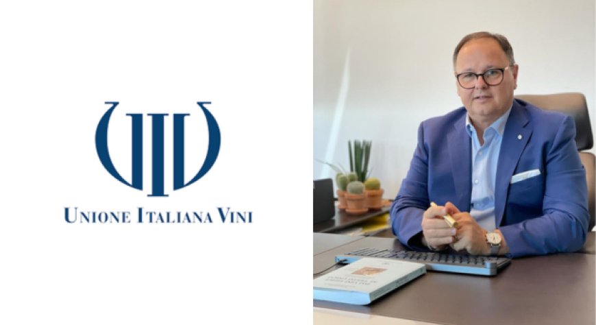 Nuovo Pacchetto vino europeo: Uiv approva ma chiede piano strategico italiano