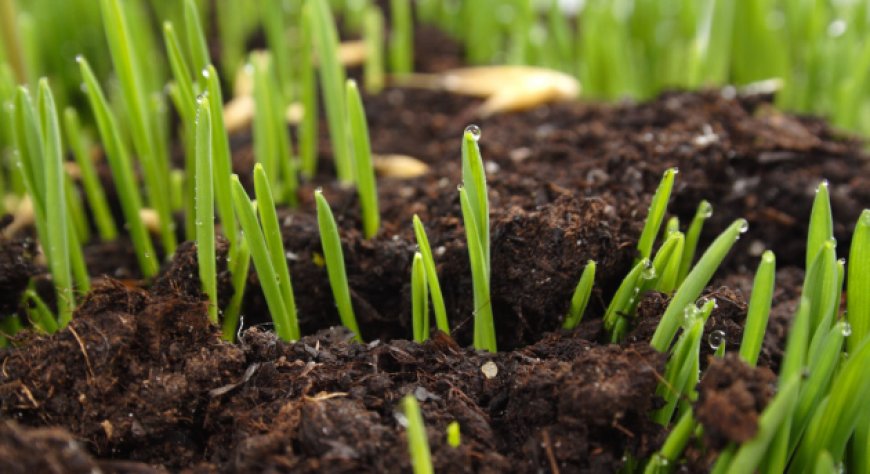 Terreni sempre più fragili: l’appello di FederBio per una svolta