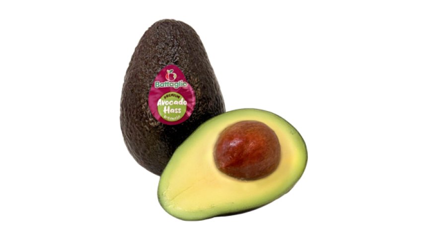 Nuovo pack e guida digitale per Hass, l'avocado di Battaglio