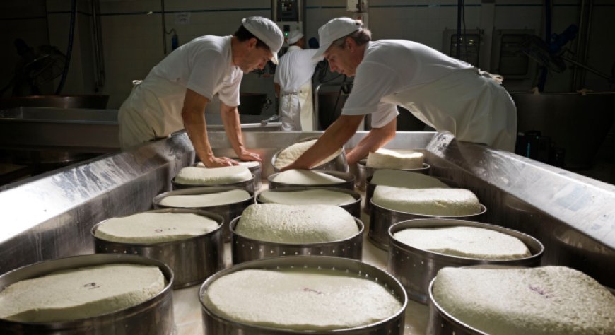 Asiago DOP di Latterie Vicentine certificato Made Green in Italy con il massimo livello