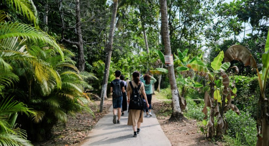 Svolta green per le vacanze di Natale: 3 viaggiatori su 4 in cerca di sostenibilità