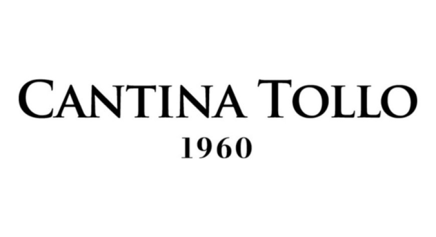 Cantina Tollo accelera: fatturato oltre 41 milioni e remunerazione soci in crescita