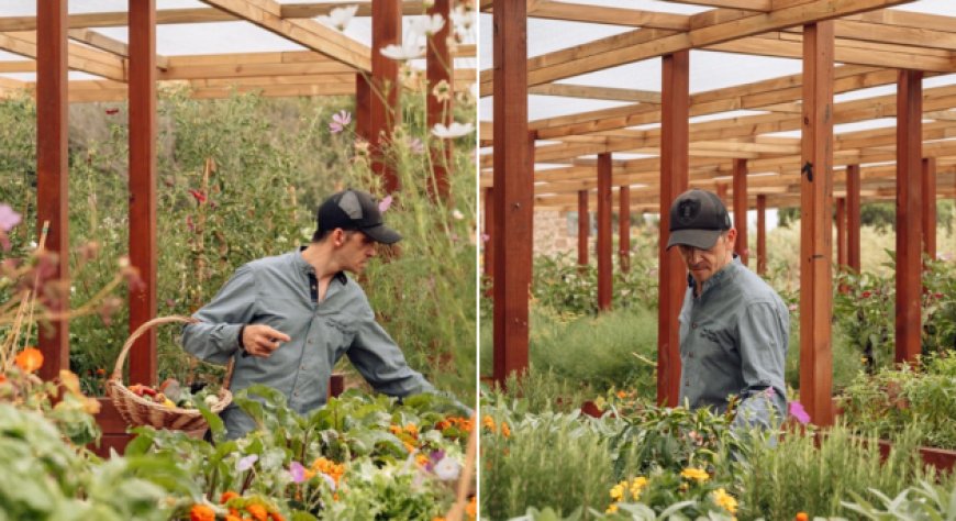 Omar Bonetti vince il contest Bubble Bev. con Bon&Tea