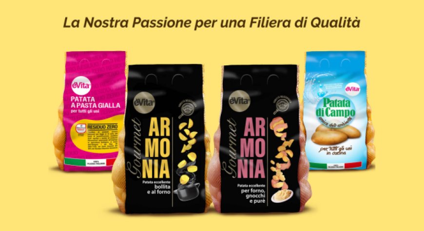 Romagnoli F.lli: sostenibilità, innovazione varietale e filiera integrata al centro del 2025