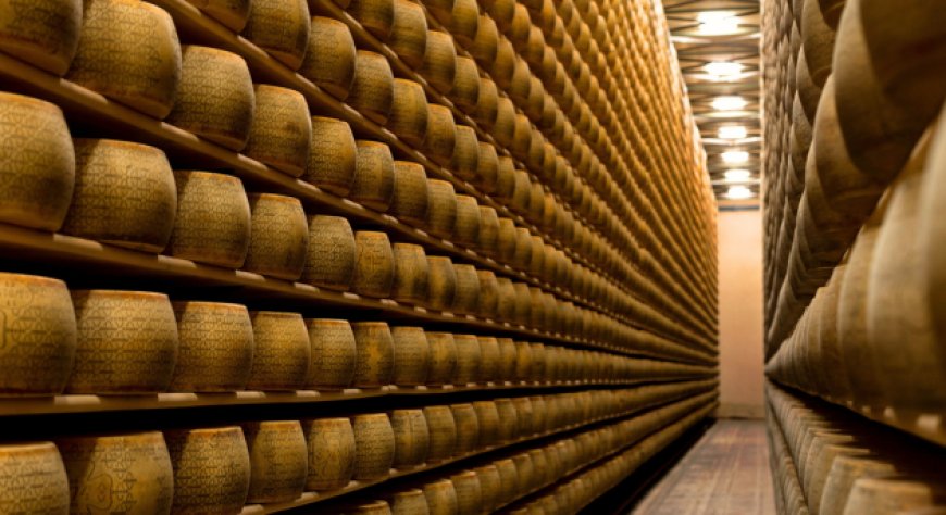 Primo caseificio Grana Padano Dop a usare il logo Made Green in Italy