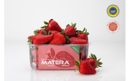 IGP alla Fragola della Basilicata: un traguardo storico per l'agricoltura regionale