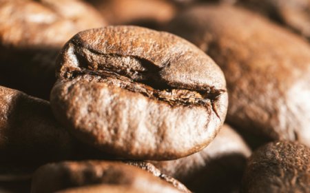 Scopri la parola del giorno su WikiHoreca.com: Tostatura del Caffè