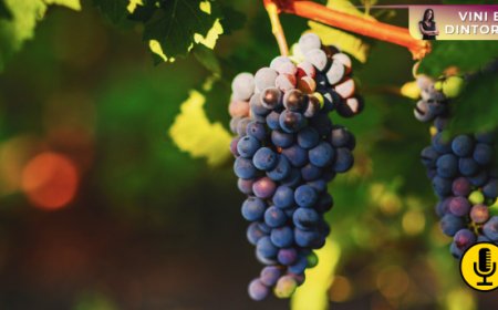 Il mercato del vino negli Stati Uniti entra in una nuova fase: segnali dal report Silicon Valley Bank 2026