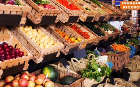 L'agroalimentare italiano cresce: export a 67 miliardi e nuovi record produttivi